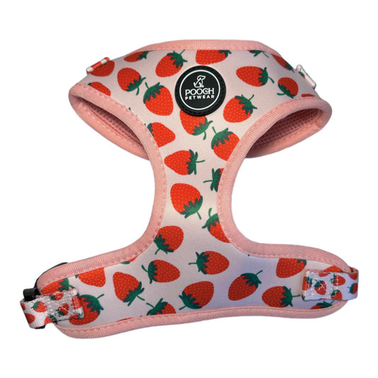 Pooch Petwear Full Strawberry Collection — Complete 6-Piece Bundle | XS S M L