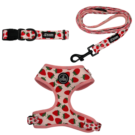 Pooch Petwear Strawberry Complete Walk Set — Matching Harness, Collar & Lead Bundle | XS S M L