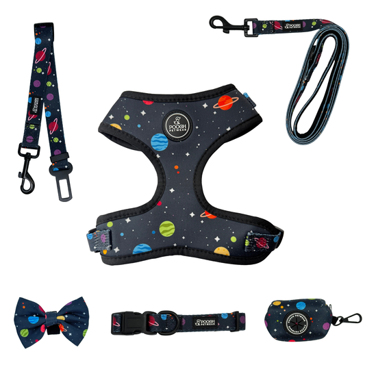 Pooch Petwear Full Cosmic Collection — Complete 6-Piece Bundle | XS S M L