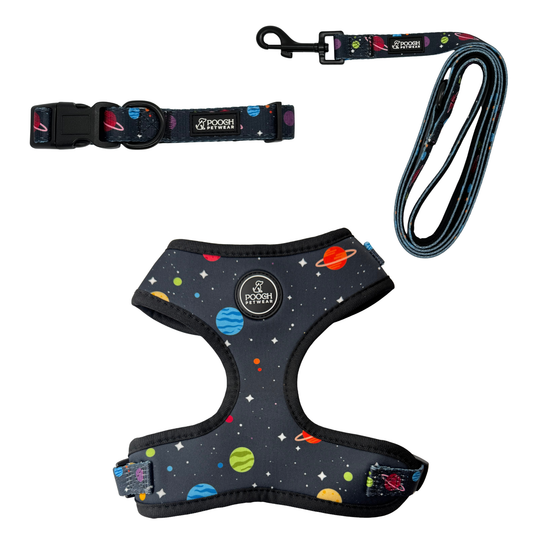 Pooch Petwear Cosmic Complete Walk Set — Matching Harness, Collar & Lead Bundle | XS S M L