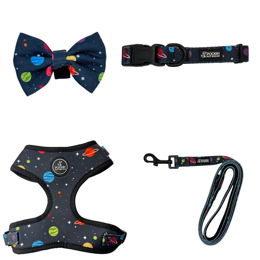 Pooch Petwear Deluxe Walk Set — Harness, Collar, Lead & Bow Tie Bundle | XS S M L