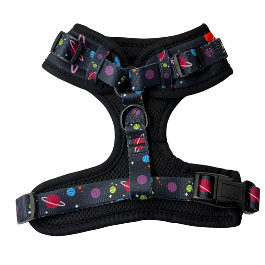 Pooch Petwear Full Cosmic Collection — Complete 6-Piece Bundle | XS S M L
