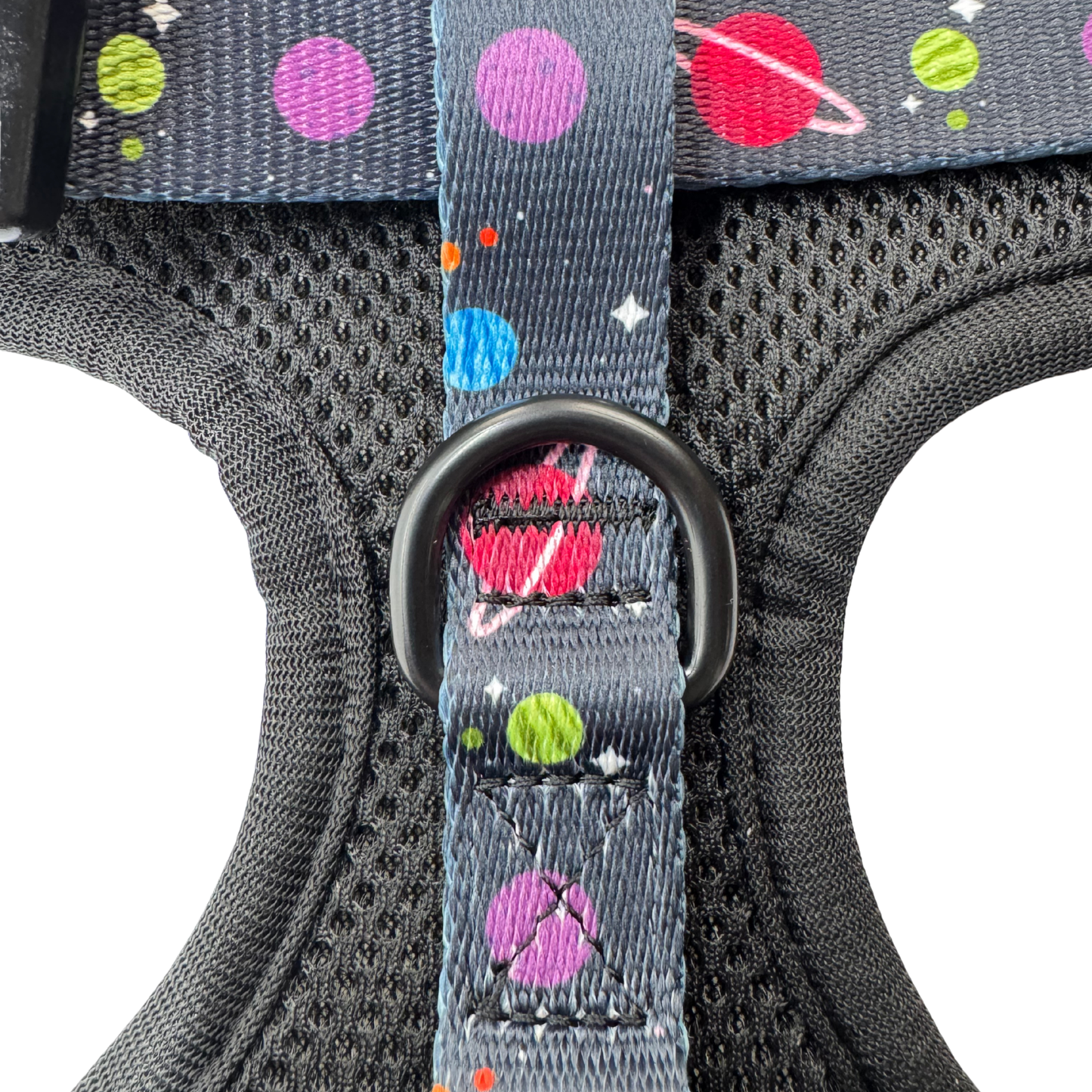Pooch Petwear Full Cosmic Collection — Complete 6-Piece Bundle | XS S M L