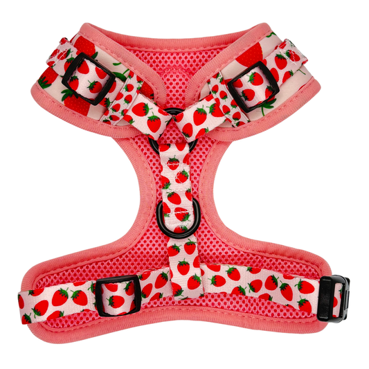Pooch Petwear Strawberry Complete Walk Set — Matching Harness, Collar & Lead Bundle | XS S M L