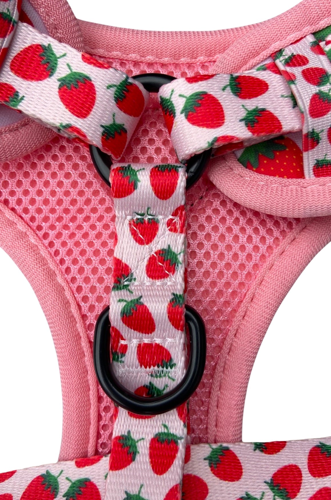 Pooch Petwear Strawberry Deluxe Walk Set — Harness, Collar, Lead & Bow Tie Bundle | XS S M L