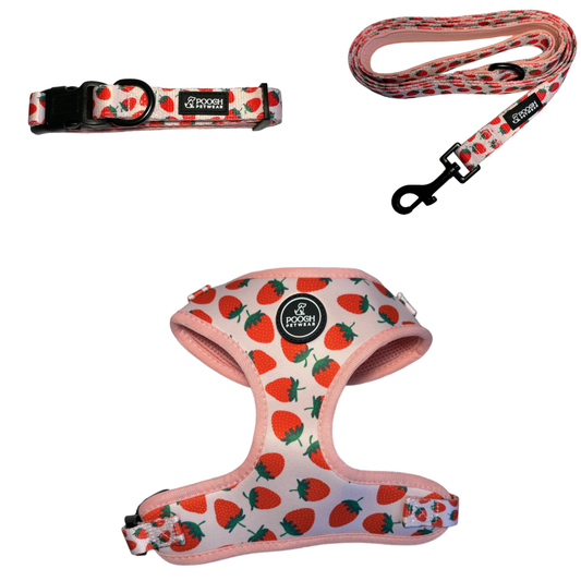Pooch Petwear Strawberry Complete Walk Set — Matching Harness, Collar & Lead Bundle | XS S M L