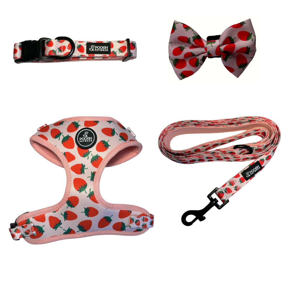 Pooch Petwear Strawberry Deluxe Walk Set — Harness, Collar, Lead & Bow Tie Bundle | XS S M L