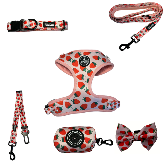 Pooch Petwear Full Strawberry Collection — Complete 6-Piece Bundle | XS S M L