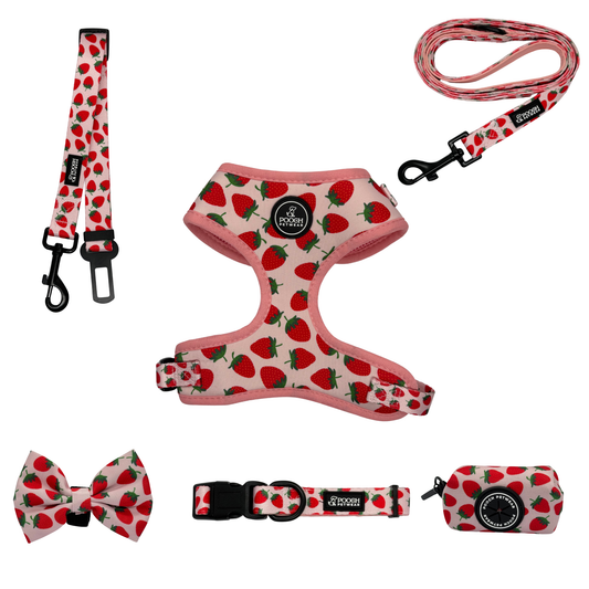 Pooch Petwear Full Strawberry Collection — Complete 6-Piece Bundle | XS S M L