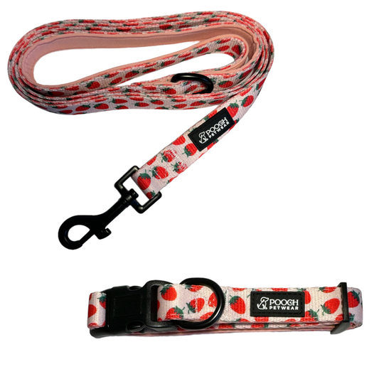 Pooch Petwear Strawberry Starter Pack — Matching Collar & Lead Set | XS S M L