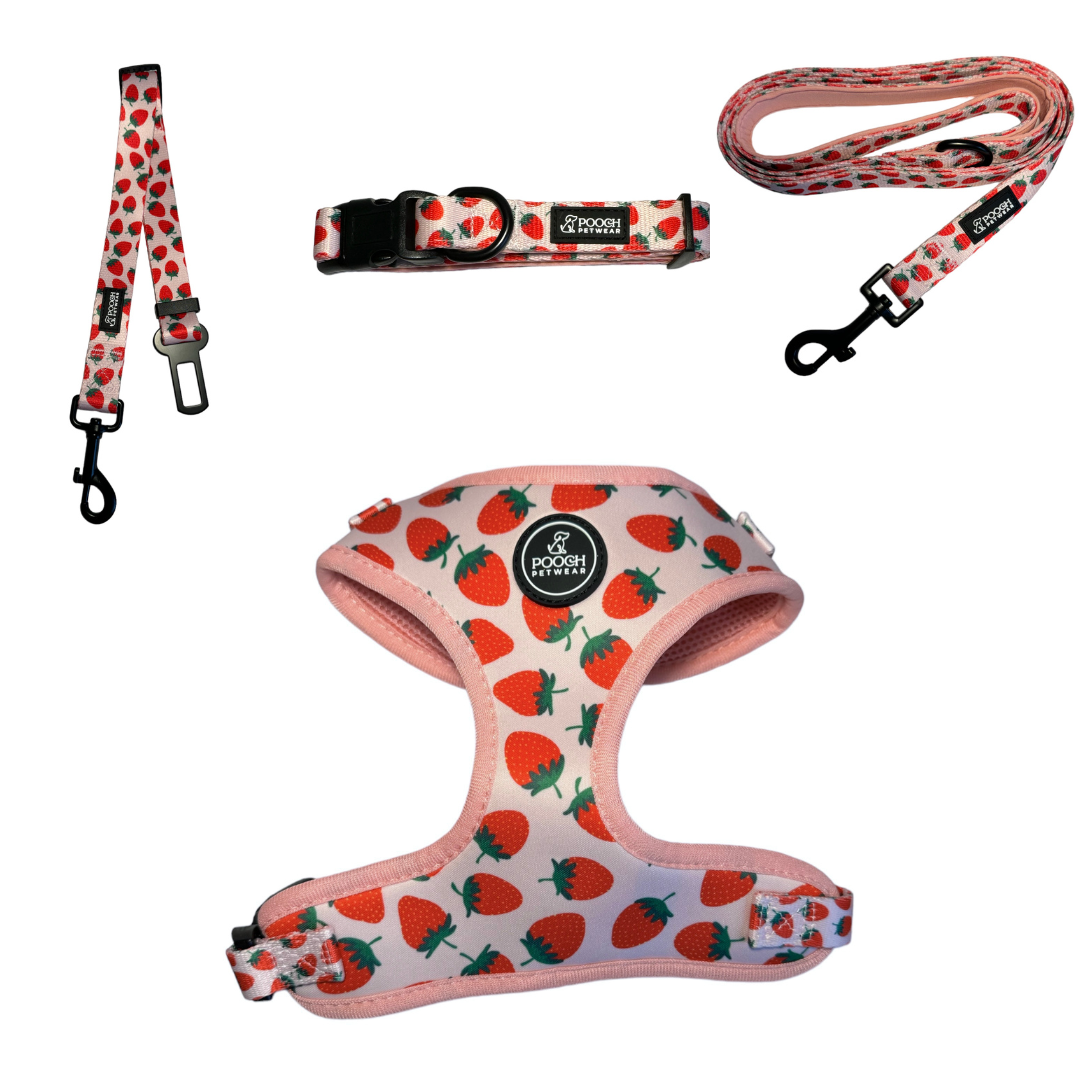Pooch Petwear Strawberry Ultimate Travel Set — Harness, Collar, Lead & Car Seatbelt Bundle | XS S M L